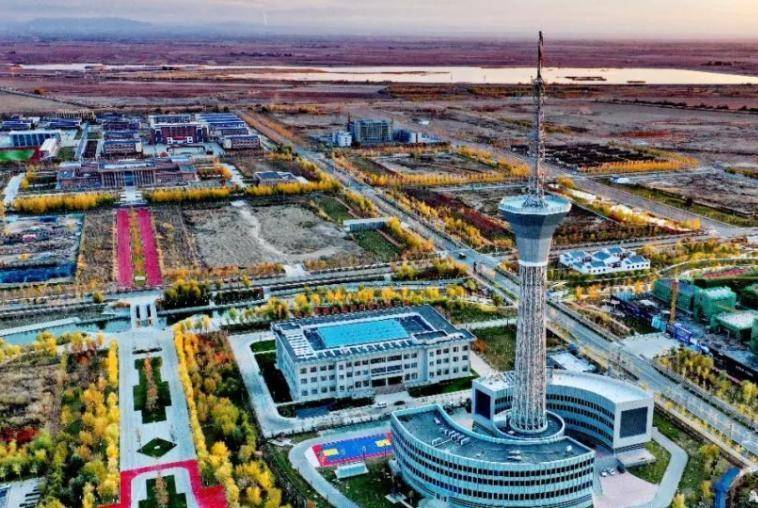 河市_胡杨_兵团