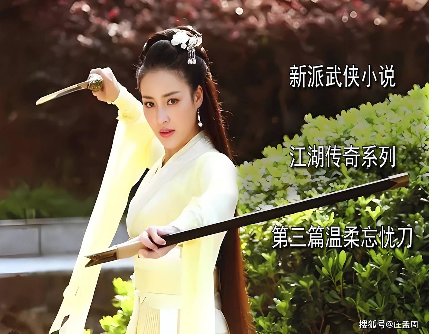 《江湖传奇》系列第三篇《温柔忘忧刀》第十六章言多必失