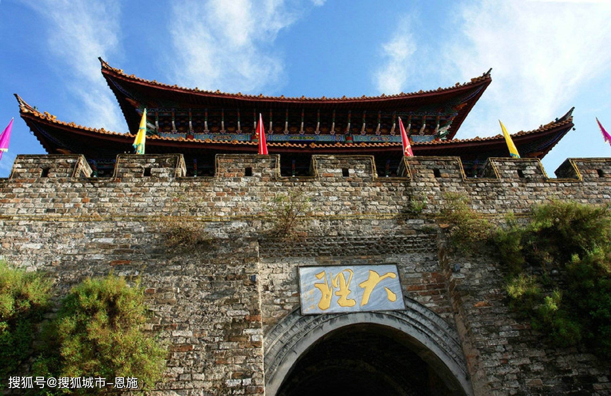 阿星_普洱茶_植物园