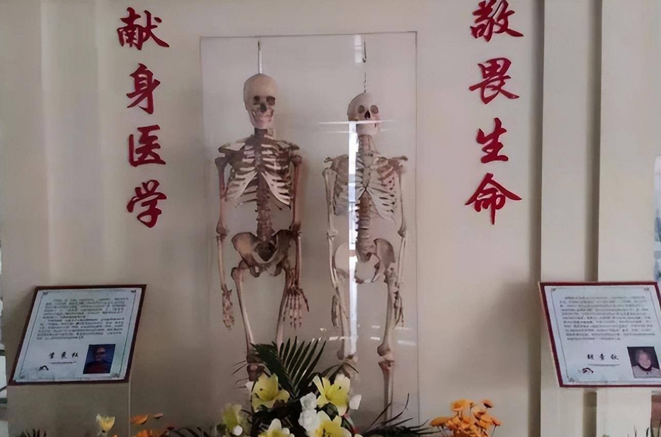 夫妻二人捐献遗体,两架白骨并排"站立",14年后特殊"重逢"