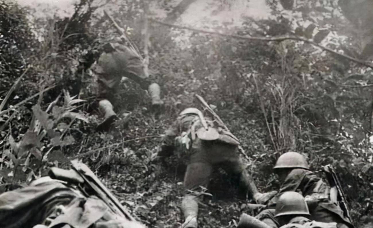越战老兵回忆"712"炮战:沟壕里全是尸体,我们无能为力_越南_老山_我军