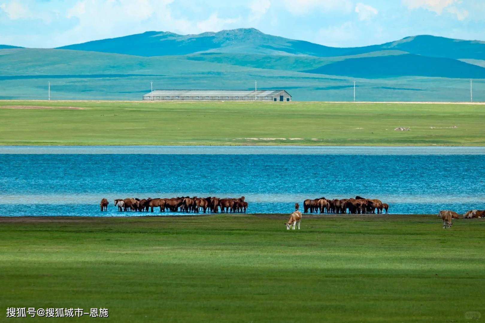 内蒙古五天旅游花费,五日玩转内蒙古,经历分享省钱攻略_蒙古包_草原