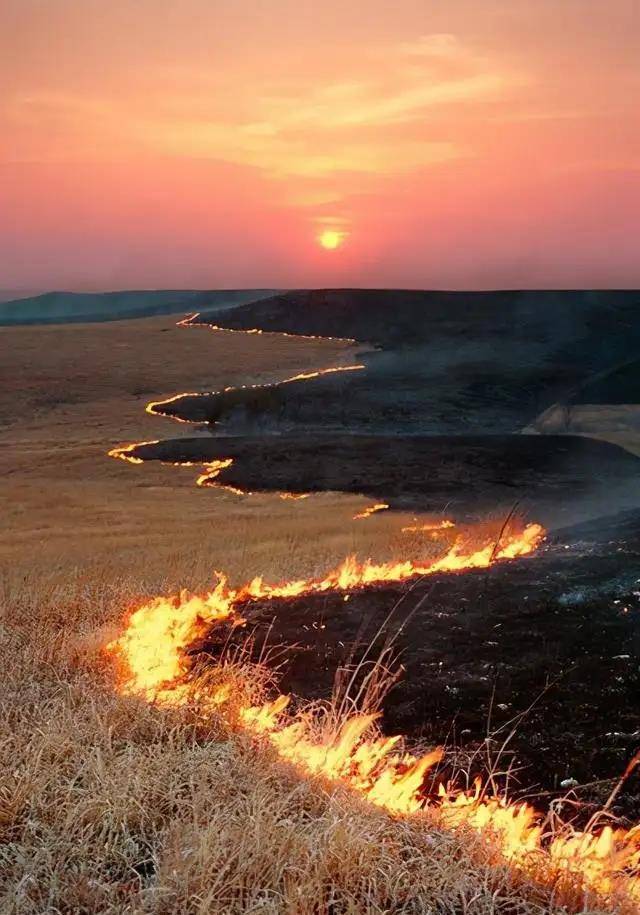 炮灰趟雷,大佬摘桃-这可能才是隋末农民起义的真相