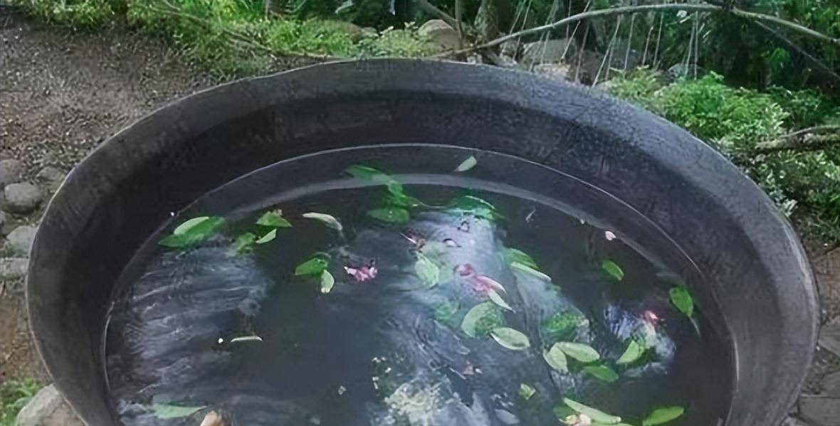 经年不沐浴,尘垢满肌肤:先秦讲究沐浴,古人如何做到洗涤心灵?