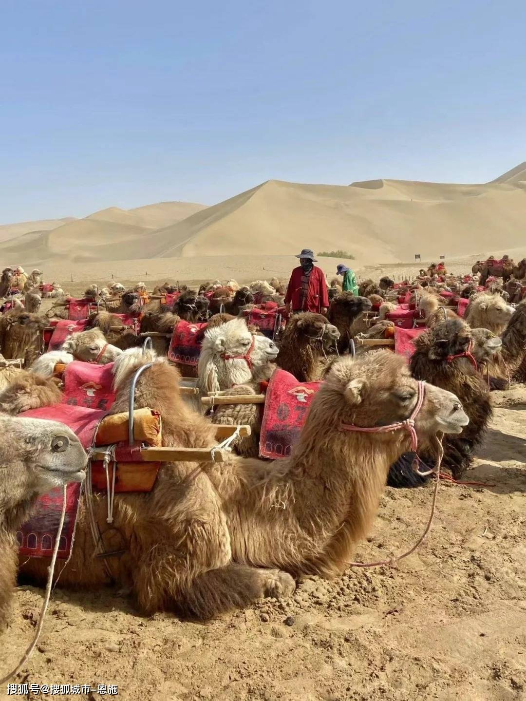 day_旅行社_西宁