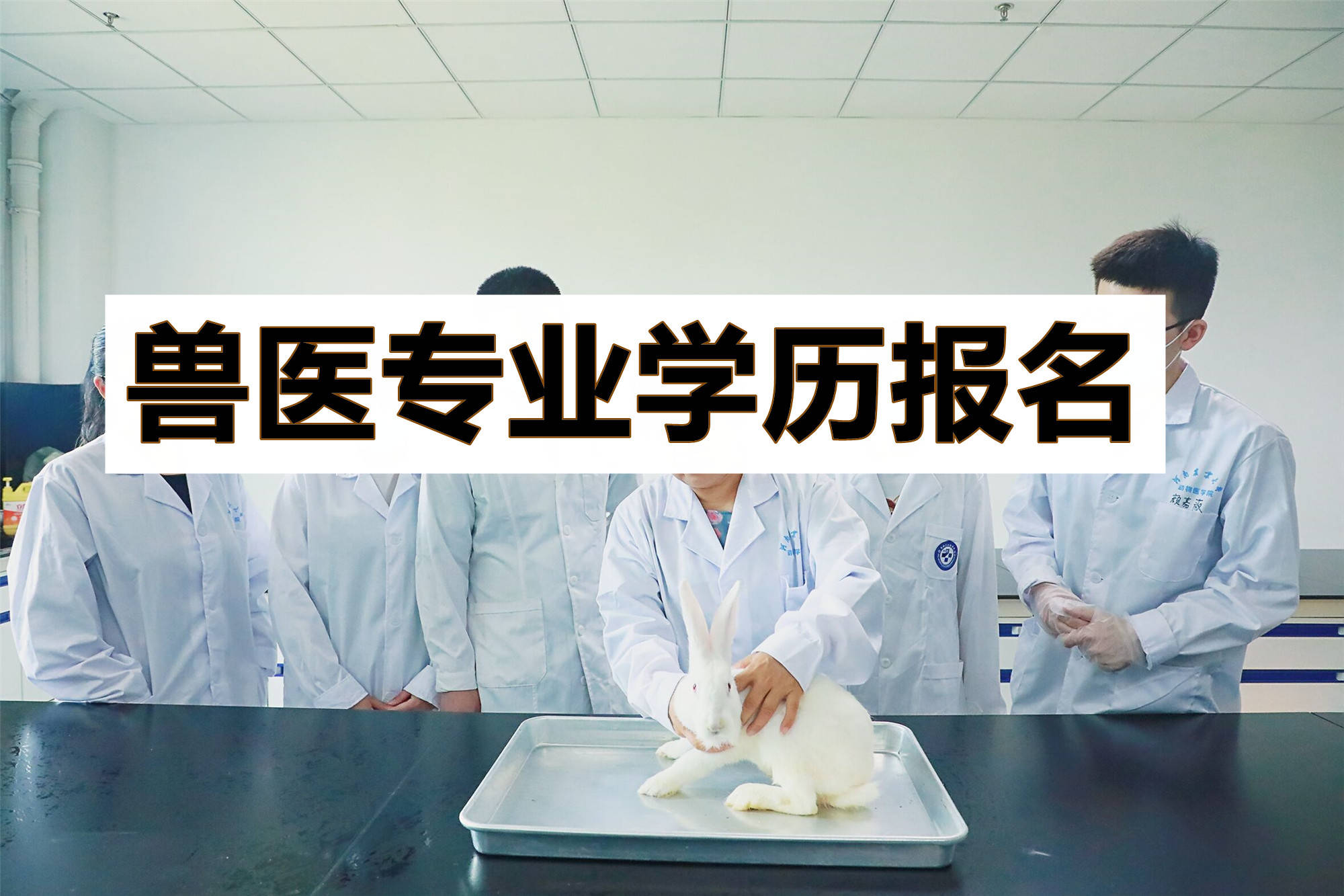 辽宁省锦州医科大学动物医学成人本科报名流程公布