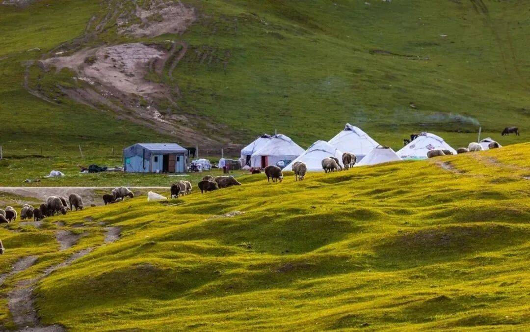 演好"影视 旅游"这部戏,富蕴县做好《我的阿勒泰》后续文章