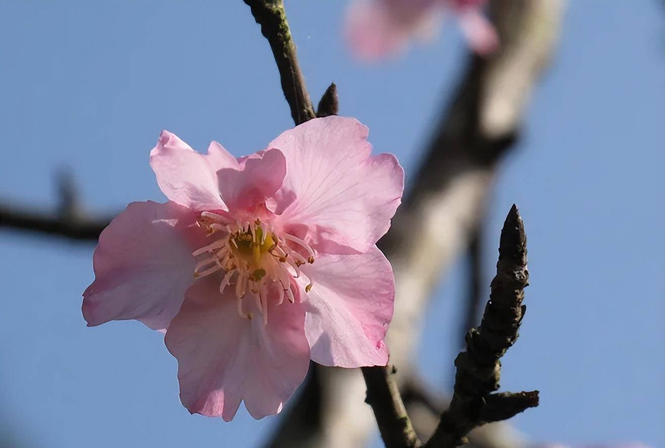 当一个人不再联系你,就如此做