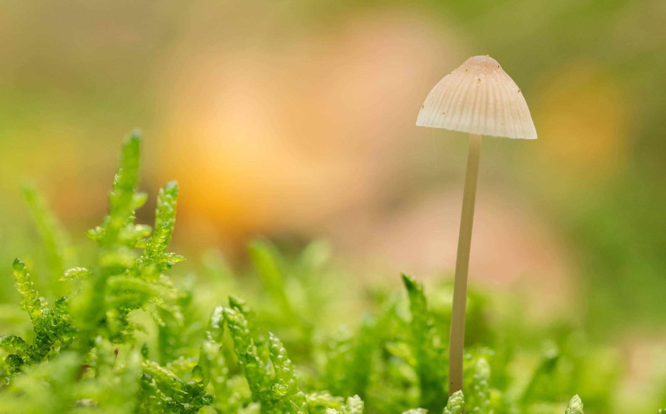 永远不要把人情看得太重