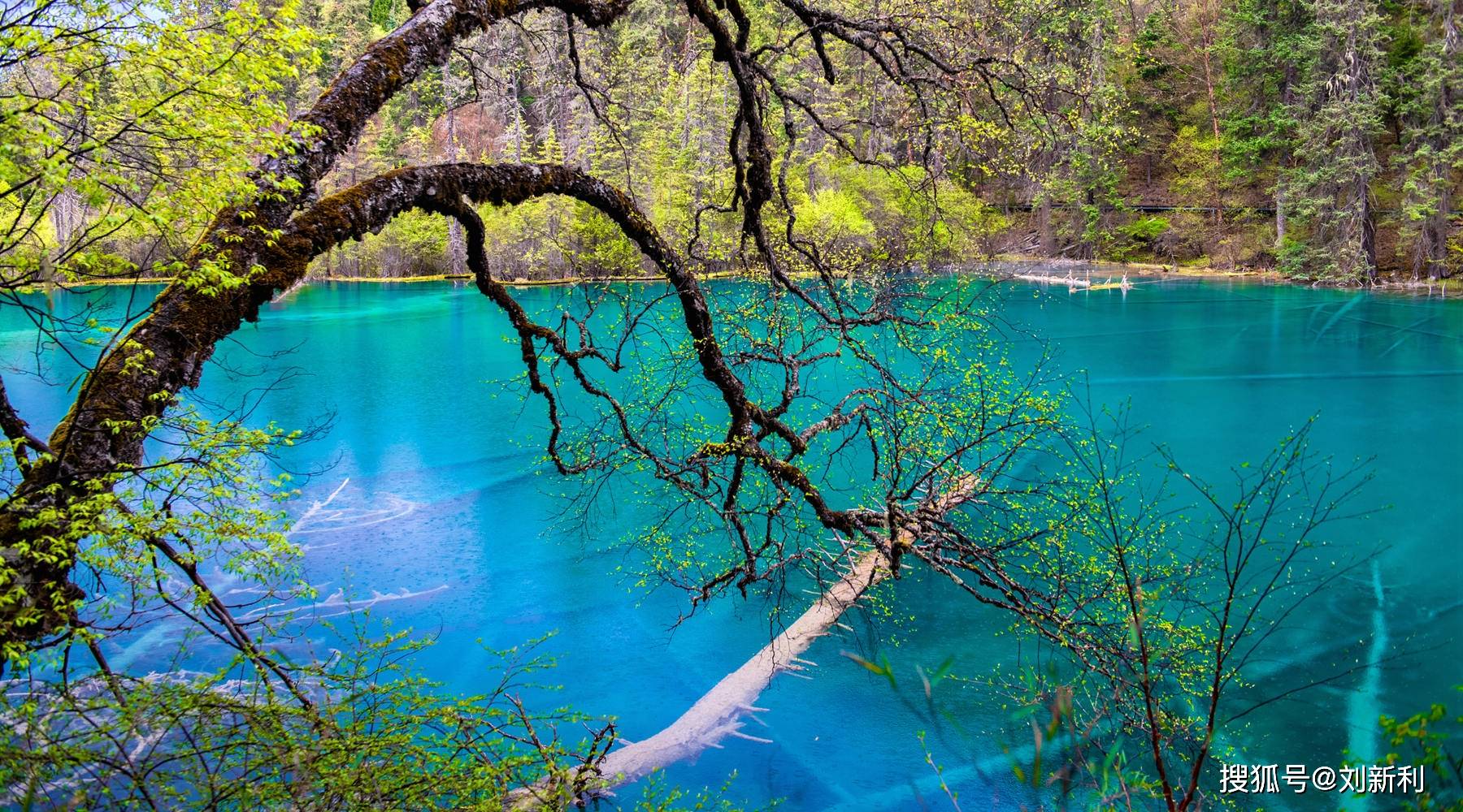 嫩恩桑措风景区图片