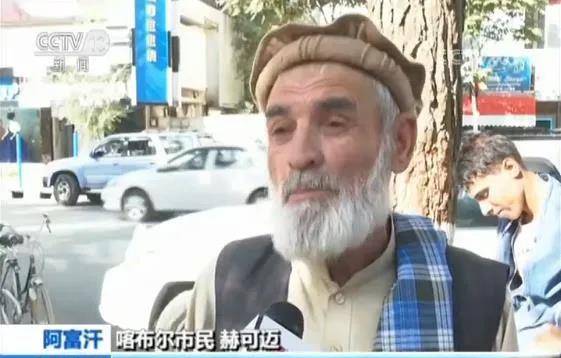 阿富汗政府_系统_教育