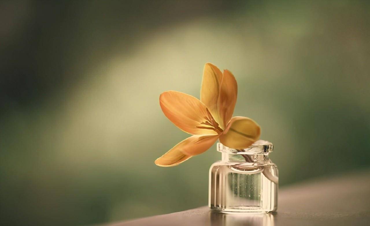 不爱你的人,就算了吧,强求也无用