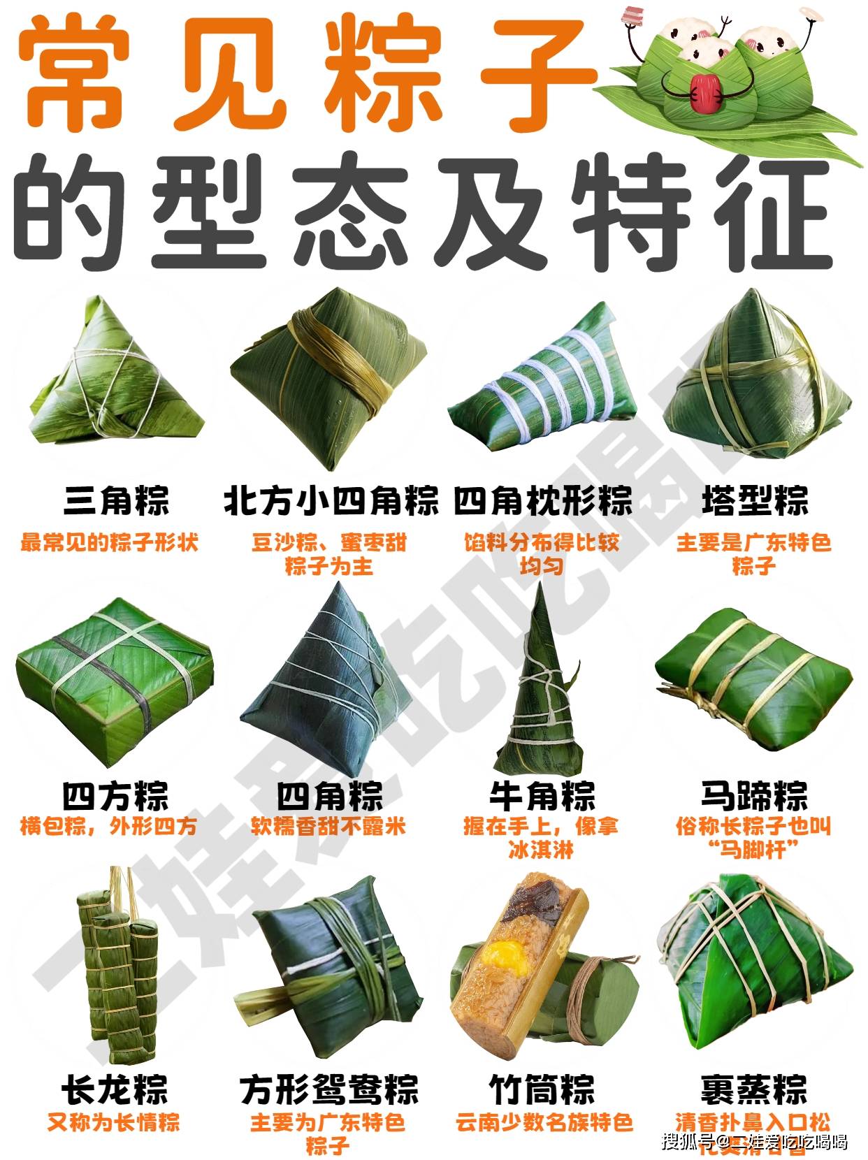 全国各地粽子合集丨你的家乡包哪种粽子?