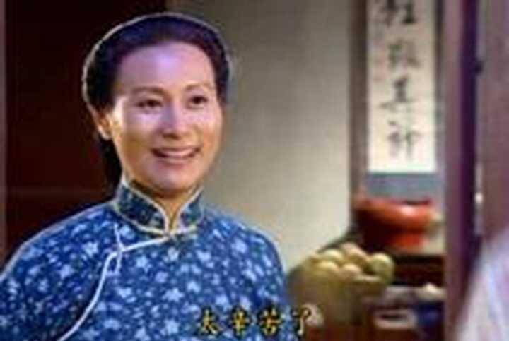 《情深深雨蒙蒙》中陆振华的其他妻子下落何在?