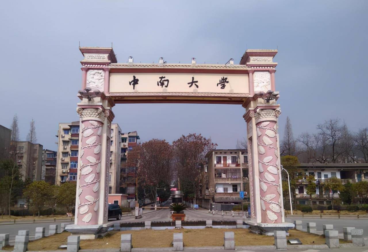 虽然凭借着较为出色的成绩来到了中南大学数学系学习,但是他当时的