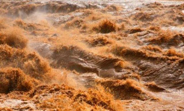 98年那场洪水,7岁小姑娘抱树9小时等待救援,现职业令人骄傲_黄河_奶奶