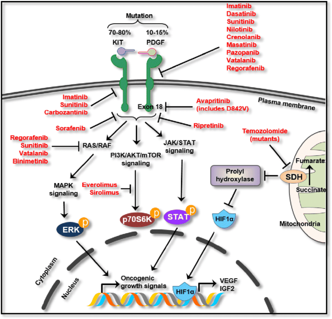 【ambeed简读】pdgfr与细胞平衡的机制