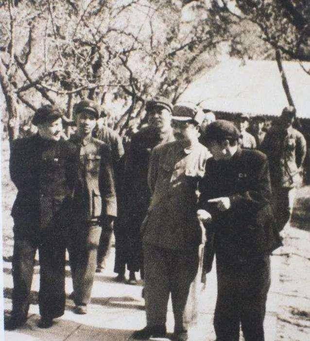 饶漱石女儿:在巴黎出生,为免受牵连改随母姓,后悔曾伤害过父亲