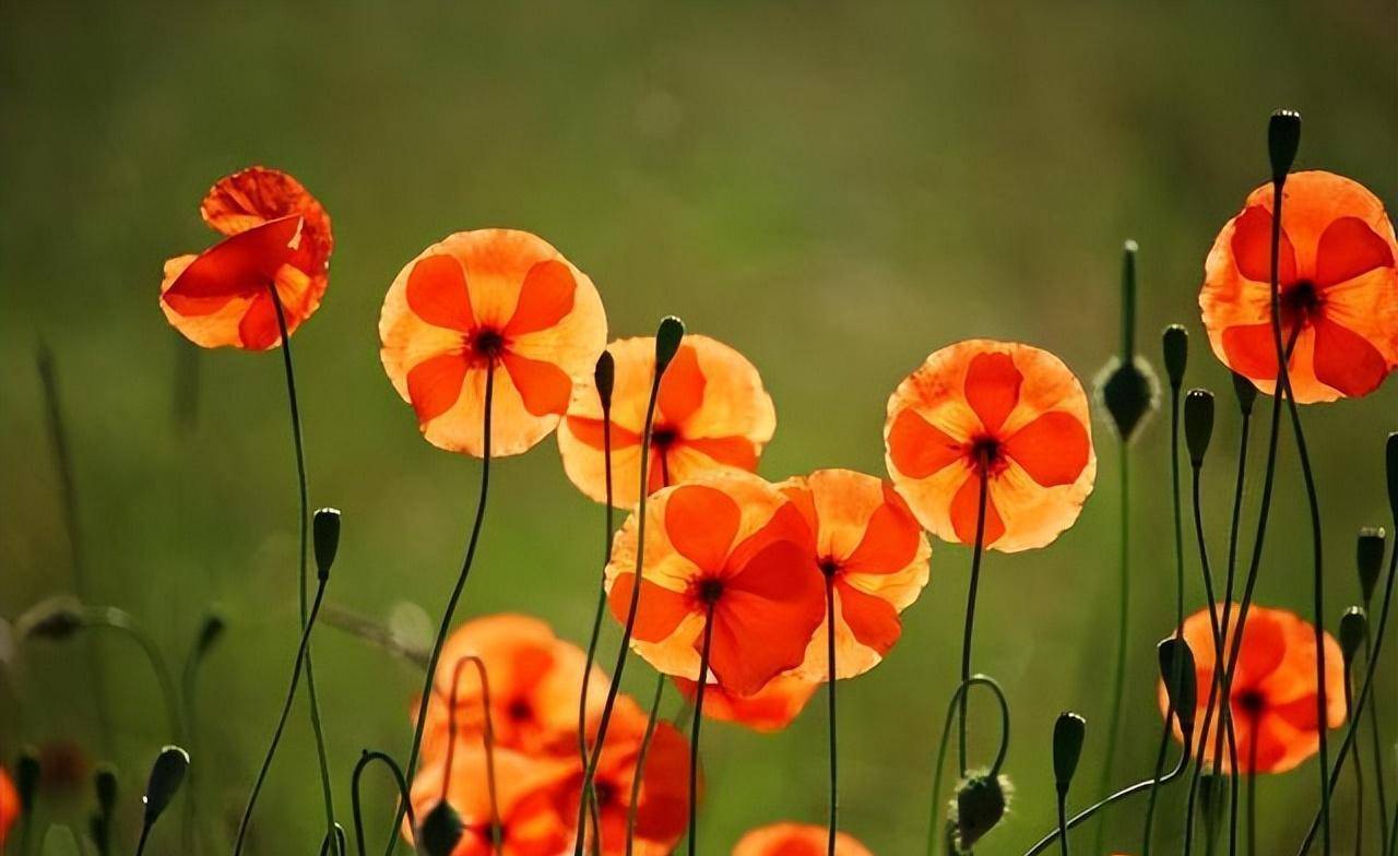 男人提出了这几个要求,女人没有拒绝,那多半是默认了暧昧关系了