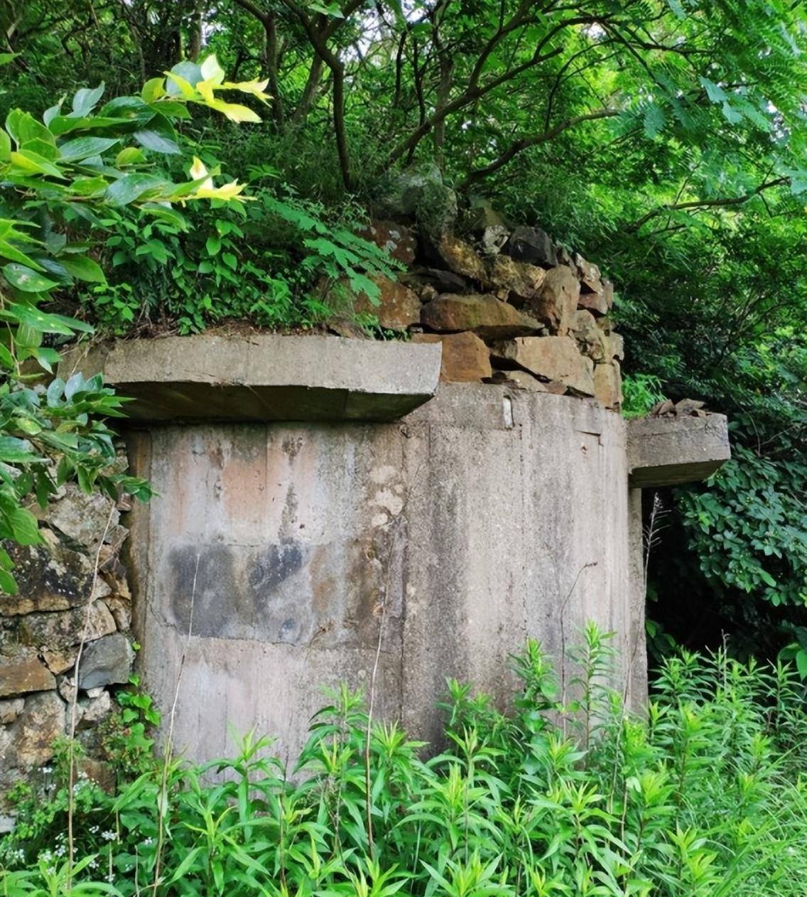 2010年湖北暴雨冲出3000具尸骨,73岁老汉痛哭:我知道他们是谁