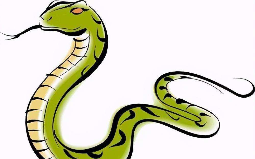 2010年,广东村庄一夜突现上百条"毒蛇",越打越多专家发现端倪