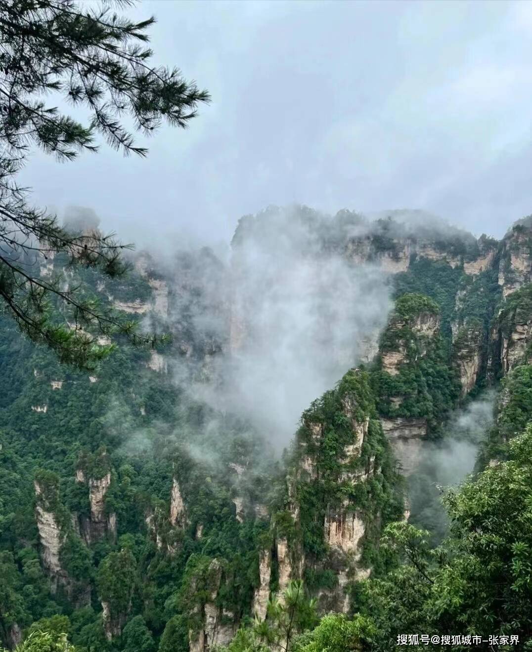 湖南张家界旅游景点推荐,张家界五日游具体行程路线,干货攻略分享!