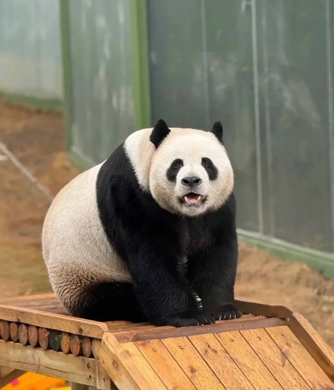 高考结束了炎炎夏日去哪儿玩?凭准考证免费游河南