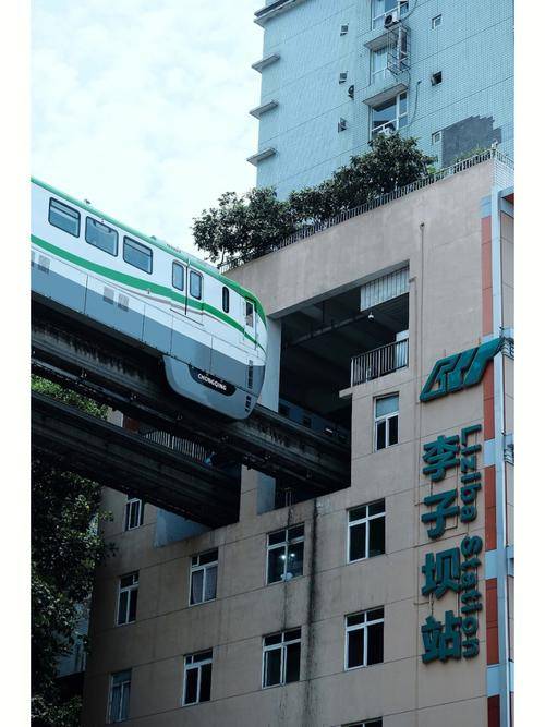 2024重庆最佳旅游季节和注意事项,体验当地生活文化的深度游