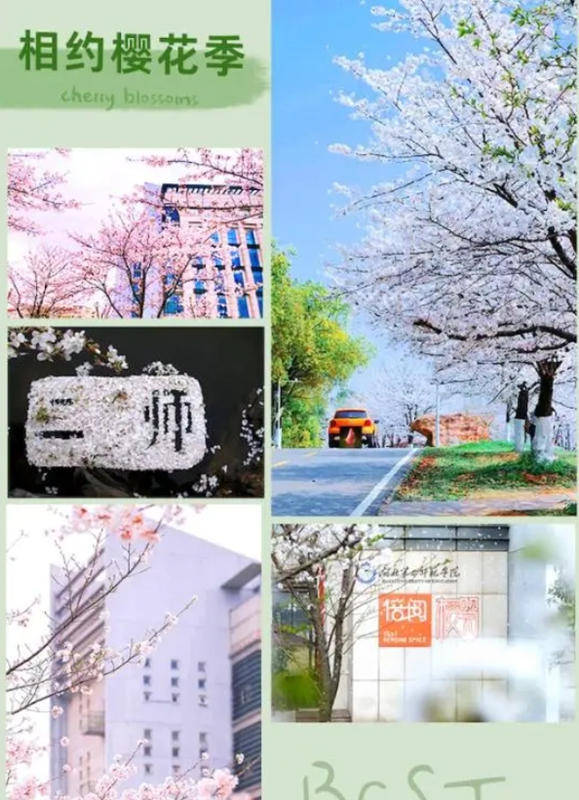 樱花校园第二季更新图片