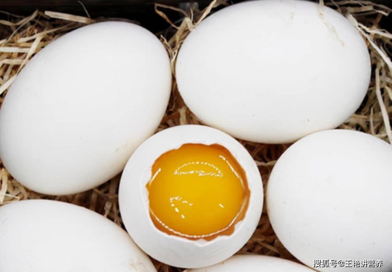 鹌鹑蛋 谁是真正的 鹅蛋 四大蛋类营养PK大揭秘！鸡蛋 鸭蛋 蛋中之王