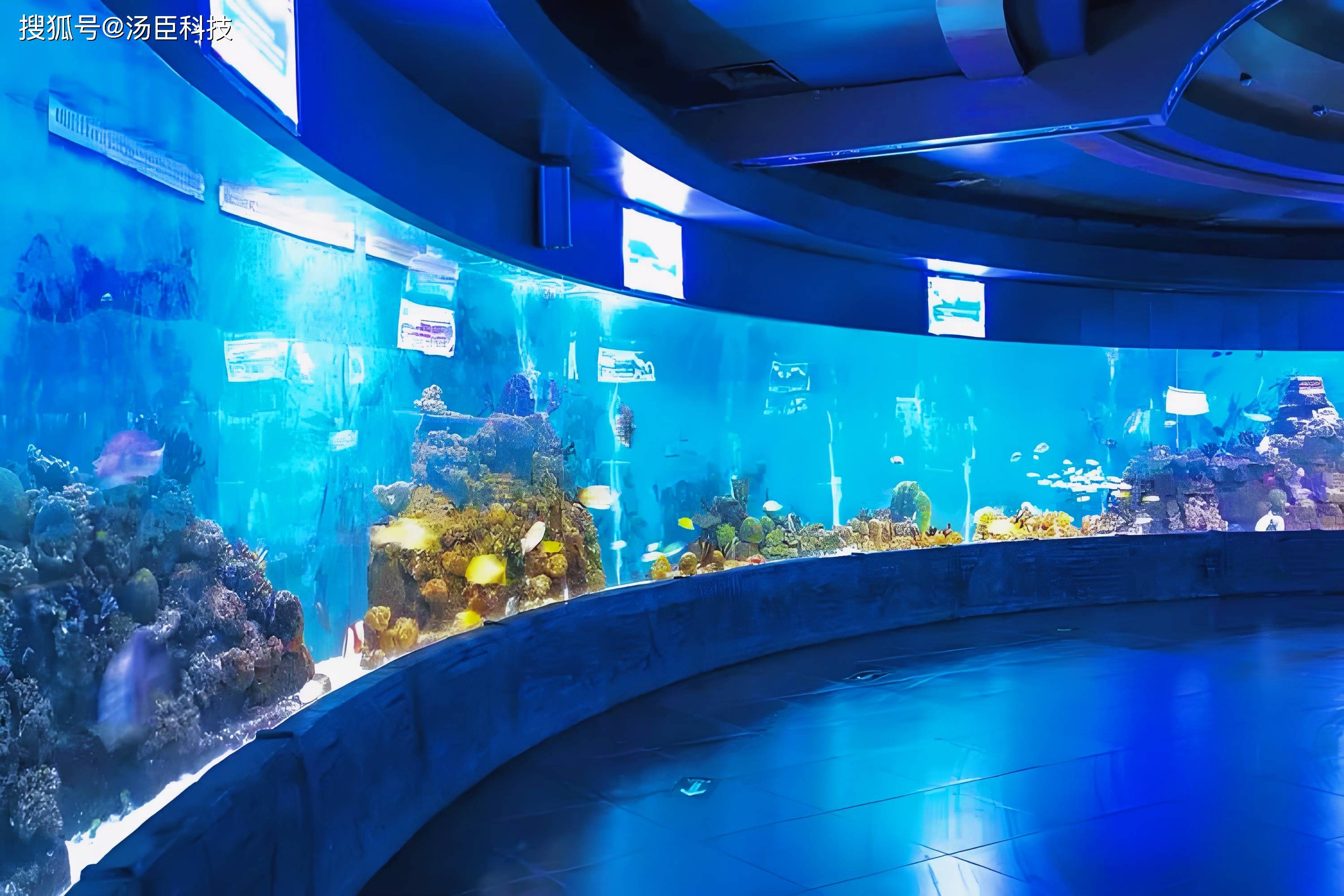 亚克力鱼缸既可以作为装饰品提升室内美感,又可以养殖各类观赏鱼.