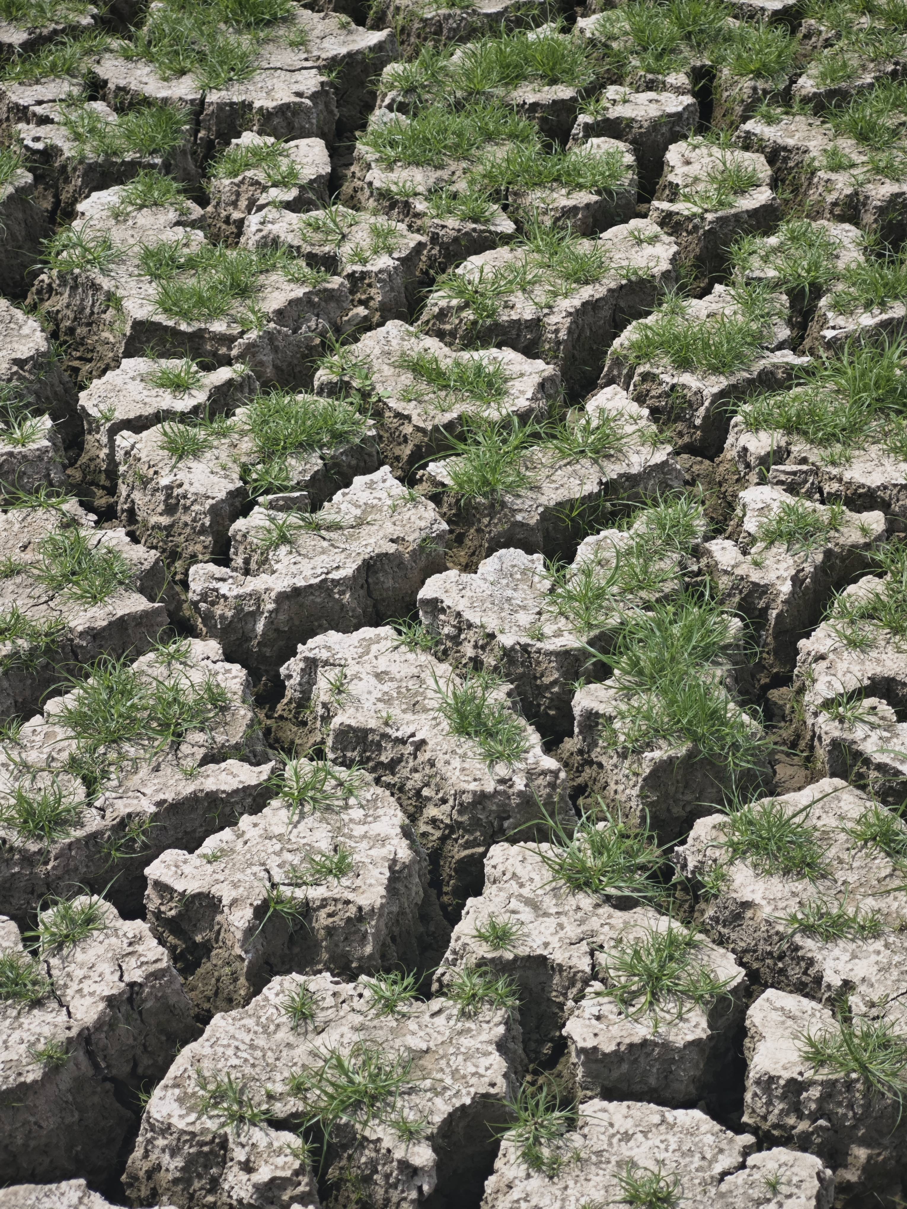 皲裂的大地肌肤,干涸的东指水库