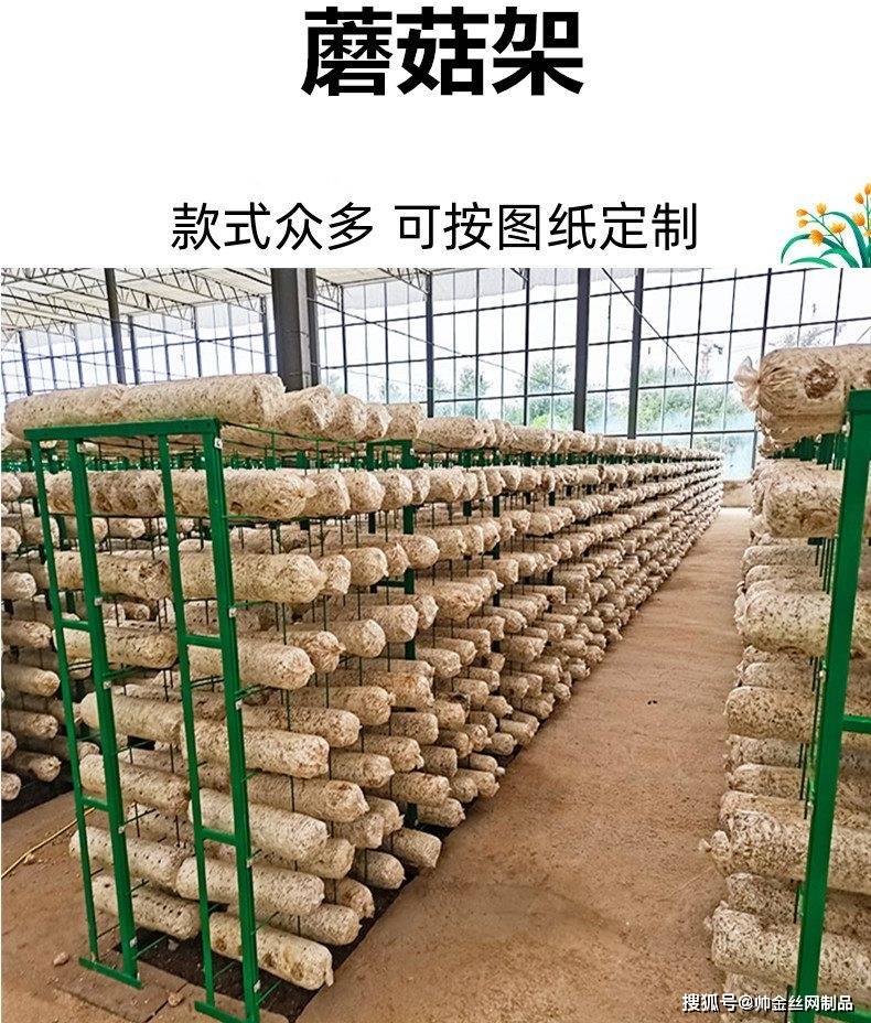 菌菇养殖条件(菌菇养殖条件是什么)