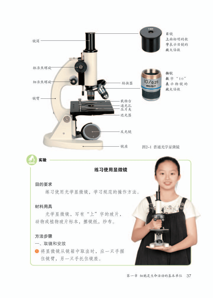 人教版生物七上认识生物(七年级上册认识生物知识点总结)  第1张