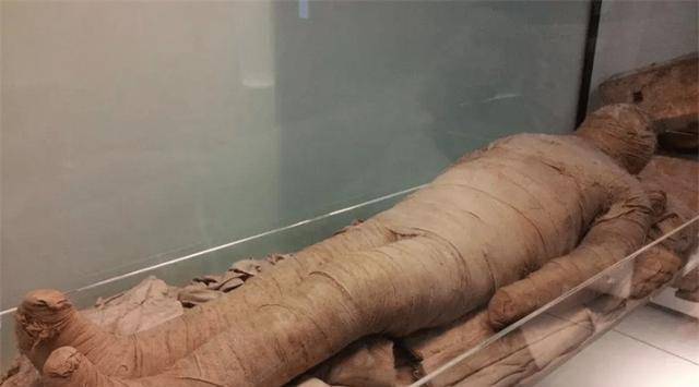 一具木乃伊出世,多国争吵认领,专家看后却立刻向警方报案