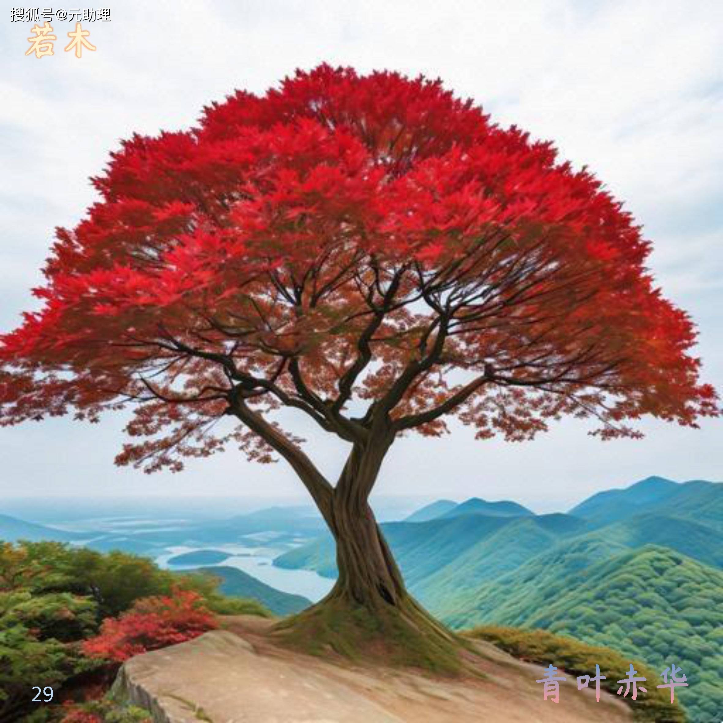 齐州 衡石,一目 苗民,若木 烛龙《大荒北经》ai动漫画风(4)