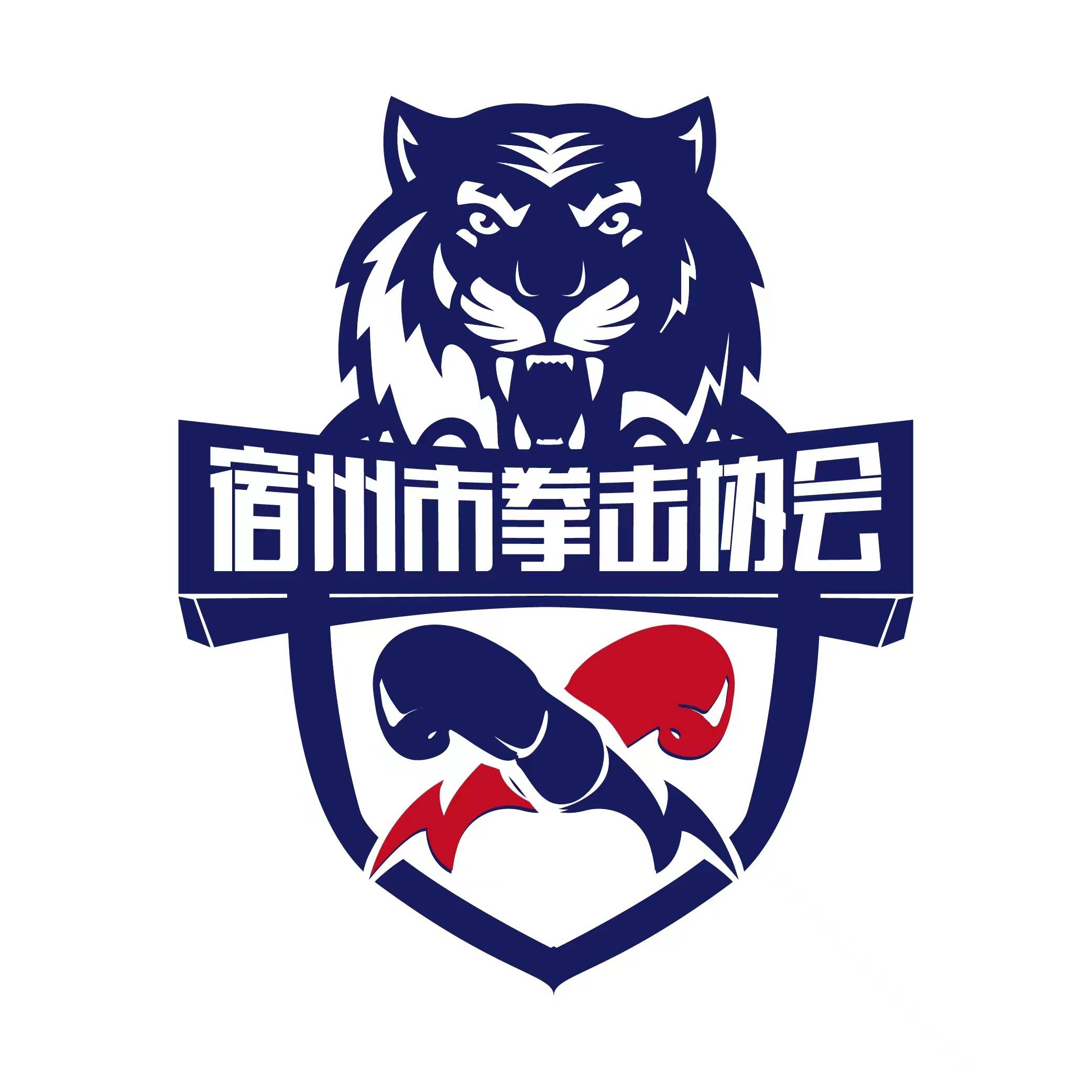 拳击_散打_自由