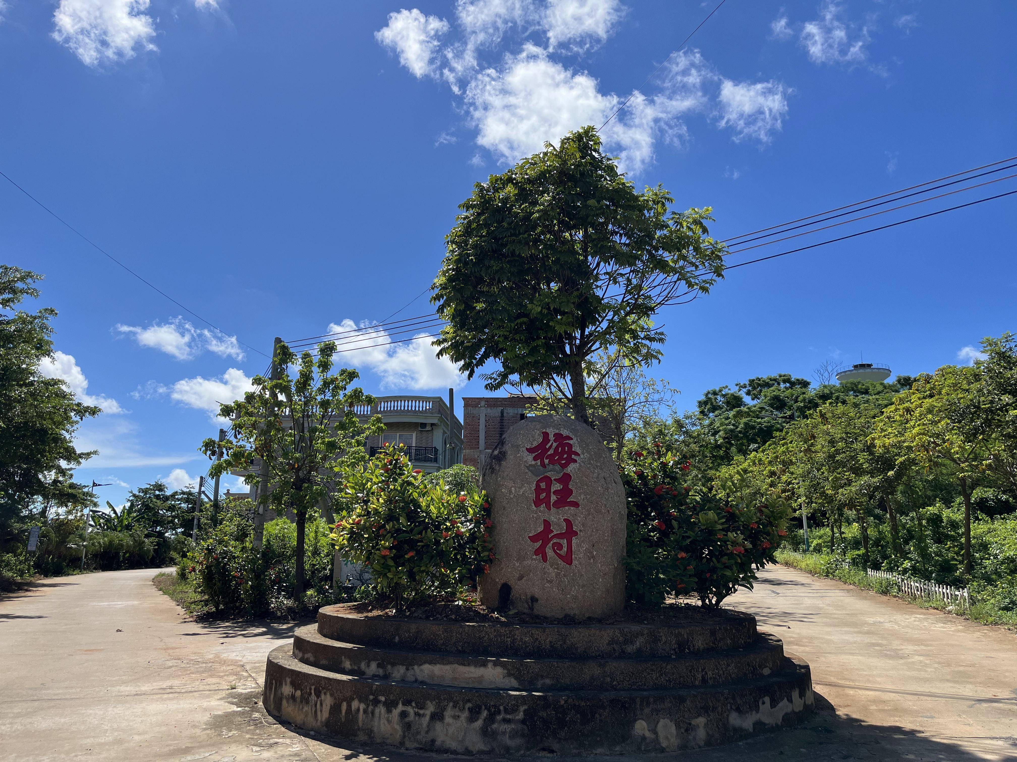 漳浦县石榴镇梅林村图片