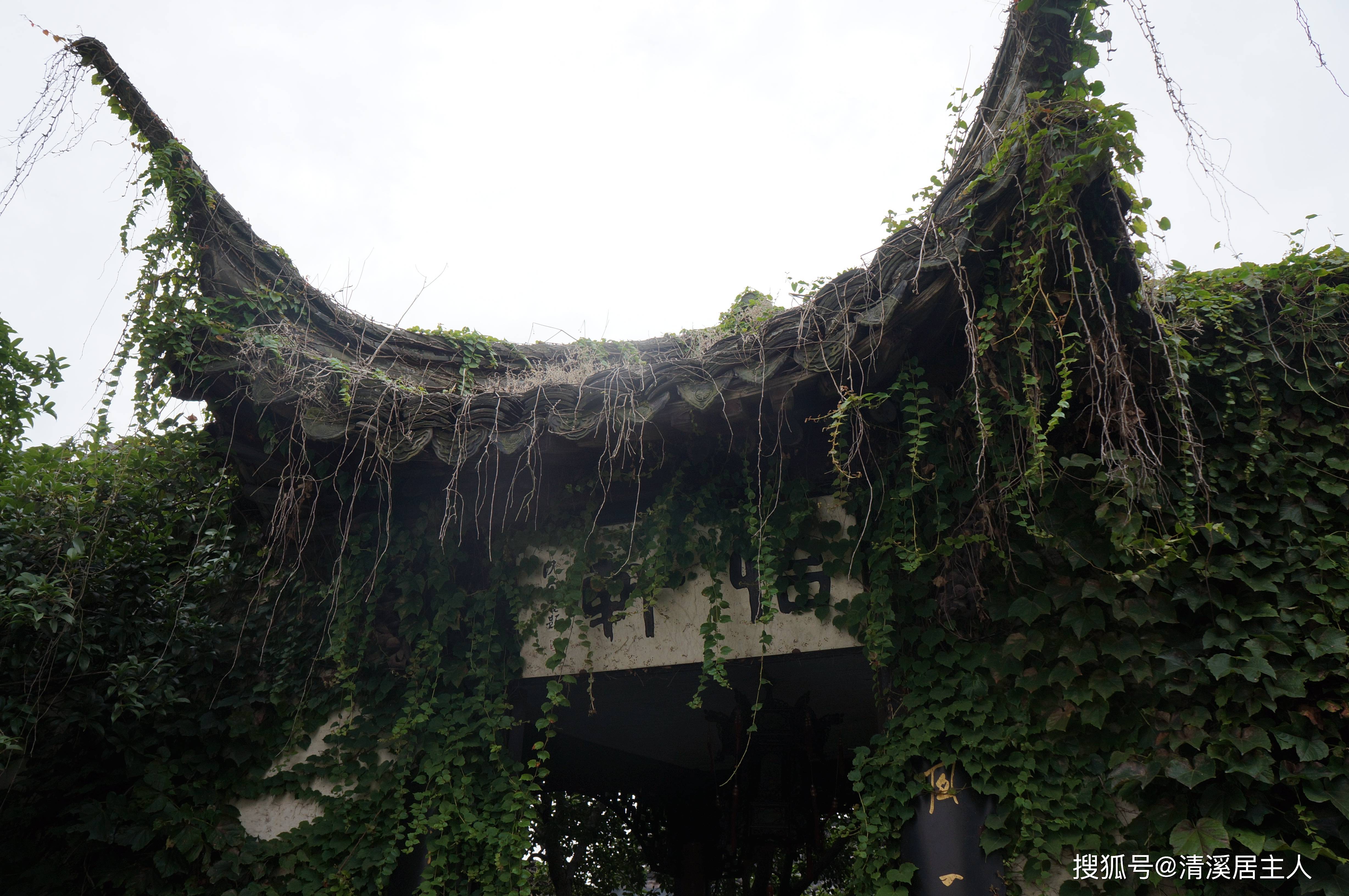 因为有了他,这里更是一个值得一去的好地方_鲁迅_先生_中国