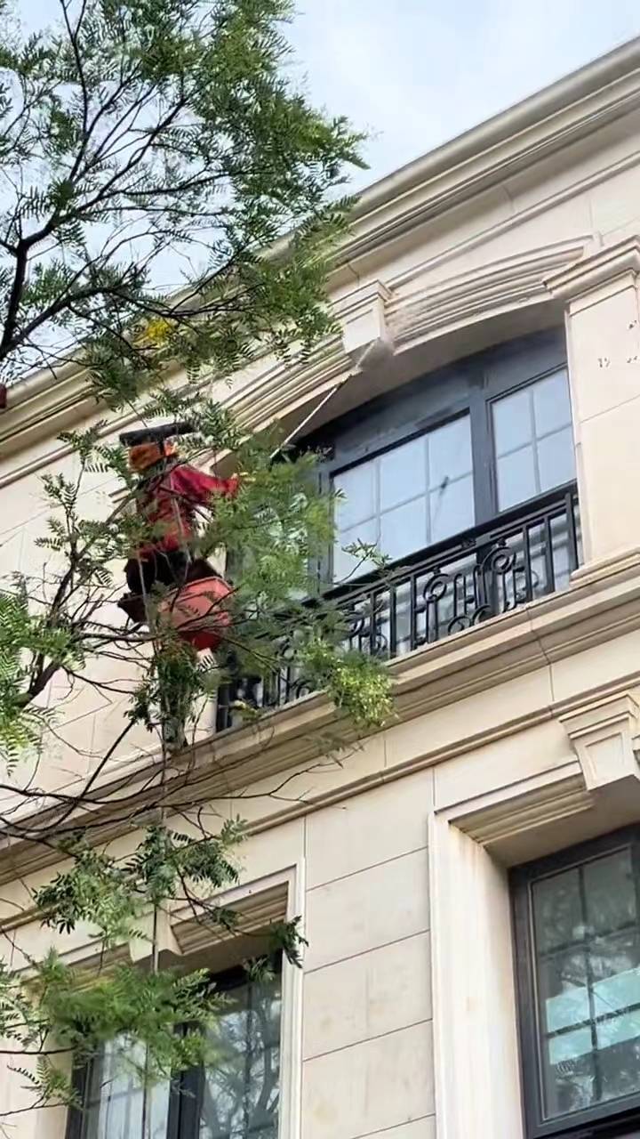 上海蜘蛛人吊绳高空服务 就近安排 快速反应