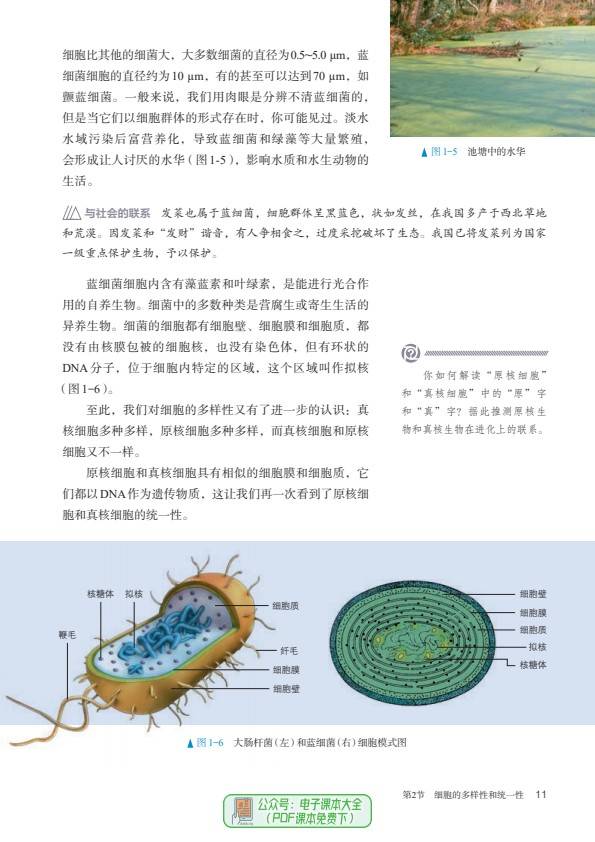 预习高一生物必修1分子与细胞高中必修一电子课本pdf高清版教科书教材