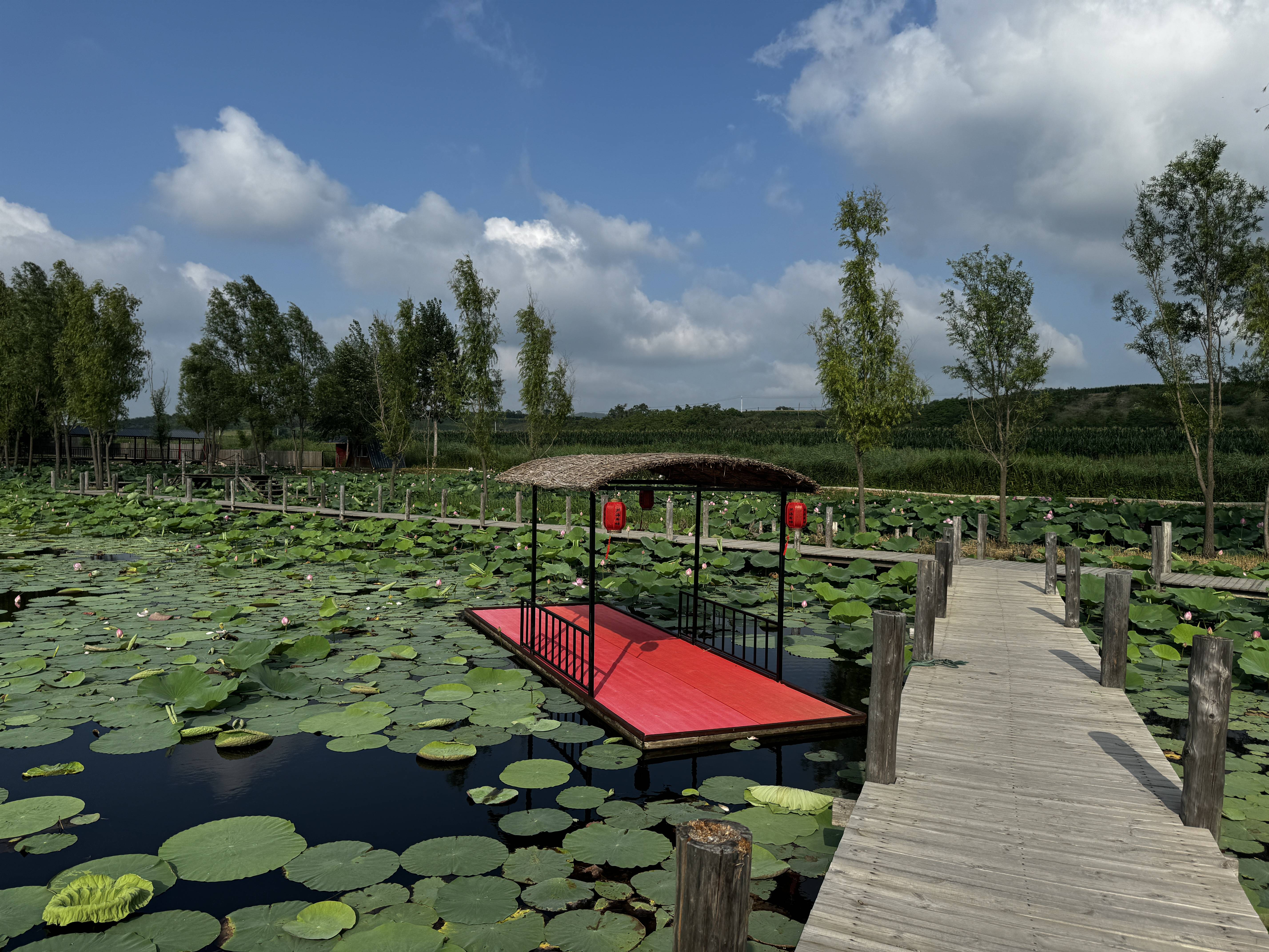 瓦房店市元台镇第八届荷花节暨夏凉会正式开幕