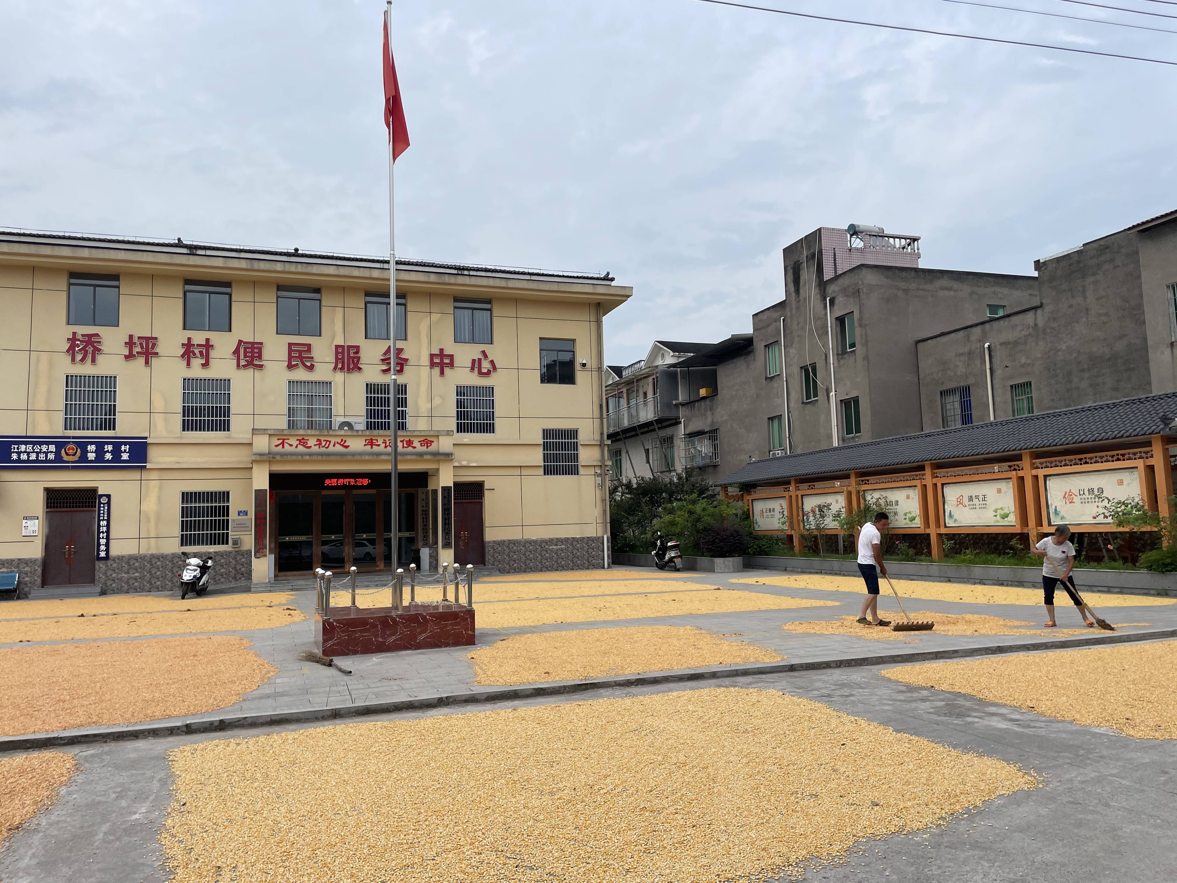 江津朱杨桥坪村:"晒"的是粮食,"暖"的是民心