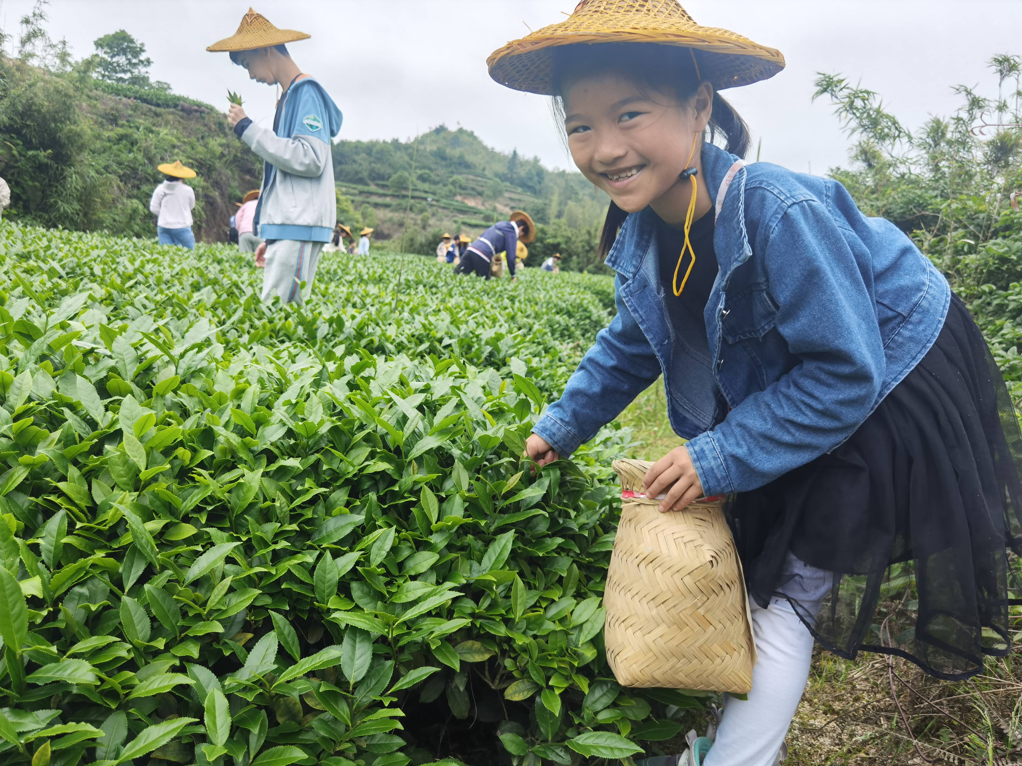 厦门同安军营村旅游服务中心，军营村团建党建服务中心，军营村高山迎旅游服务平台