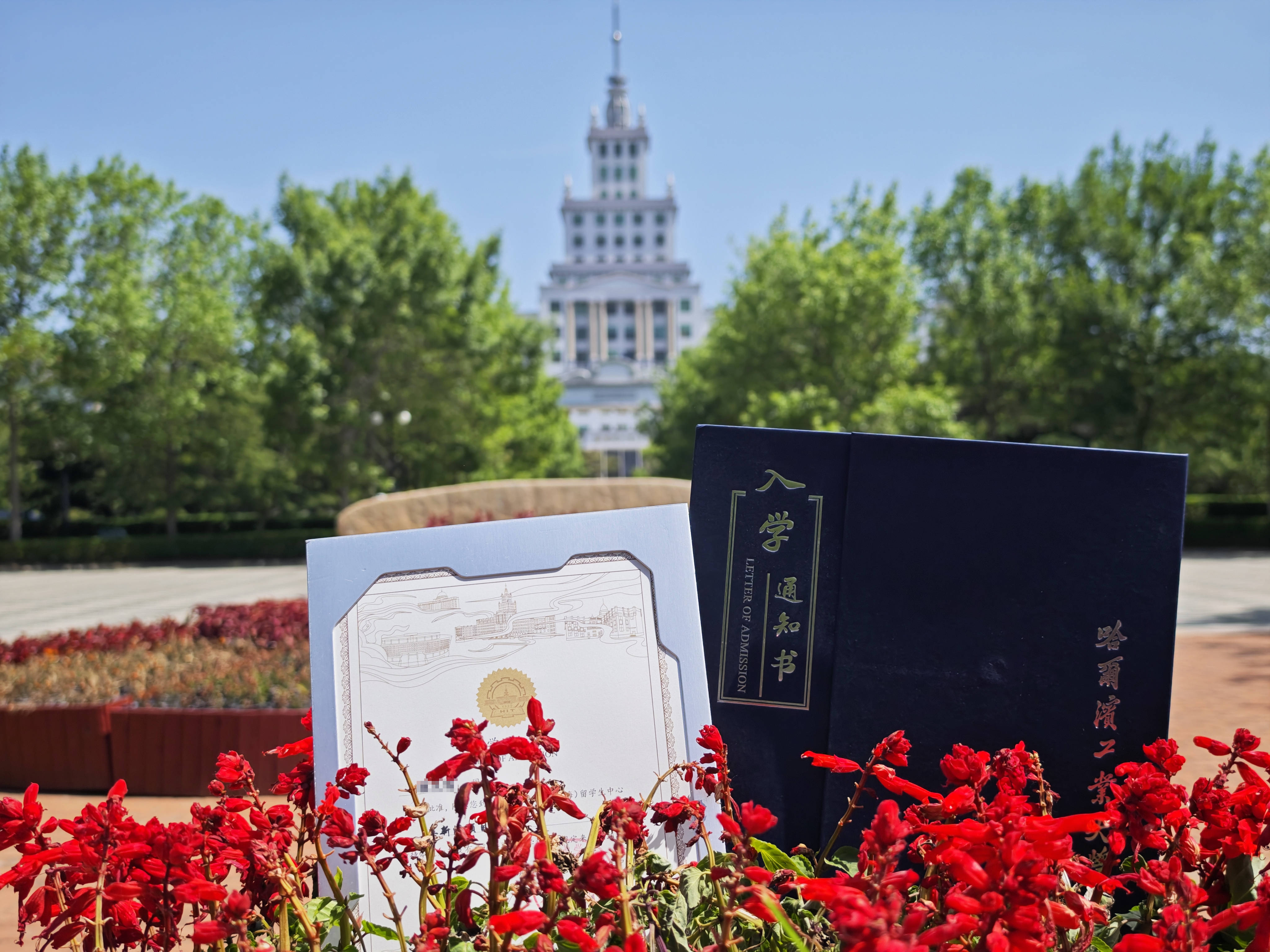 哈工大学苑楼图片