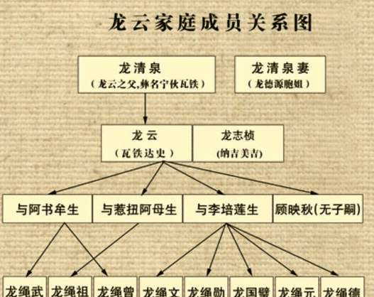 蒋英关系图图片