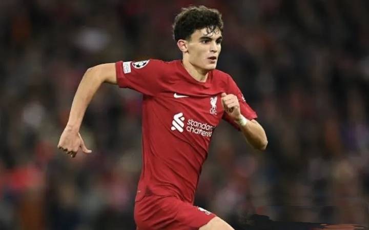 英超豪门利物浦巴伊切蒂奇加练引关注 利物浦中场未来之星崭露头角