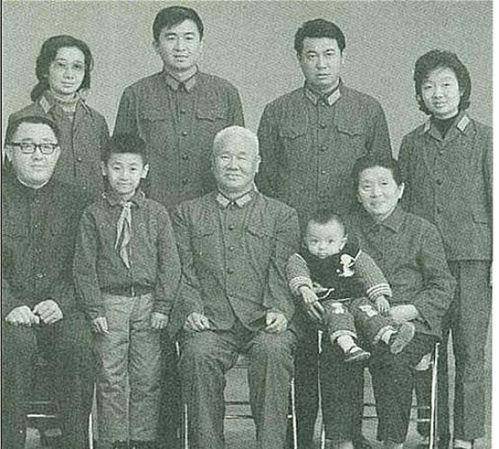 1984年,上将陈再道之子陈东平,在河南被执行枪决,他做了什么?
