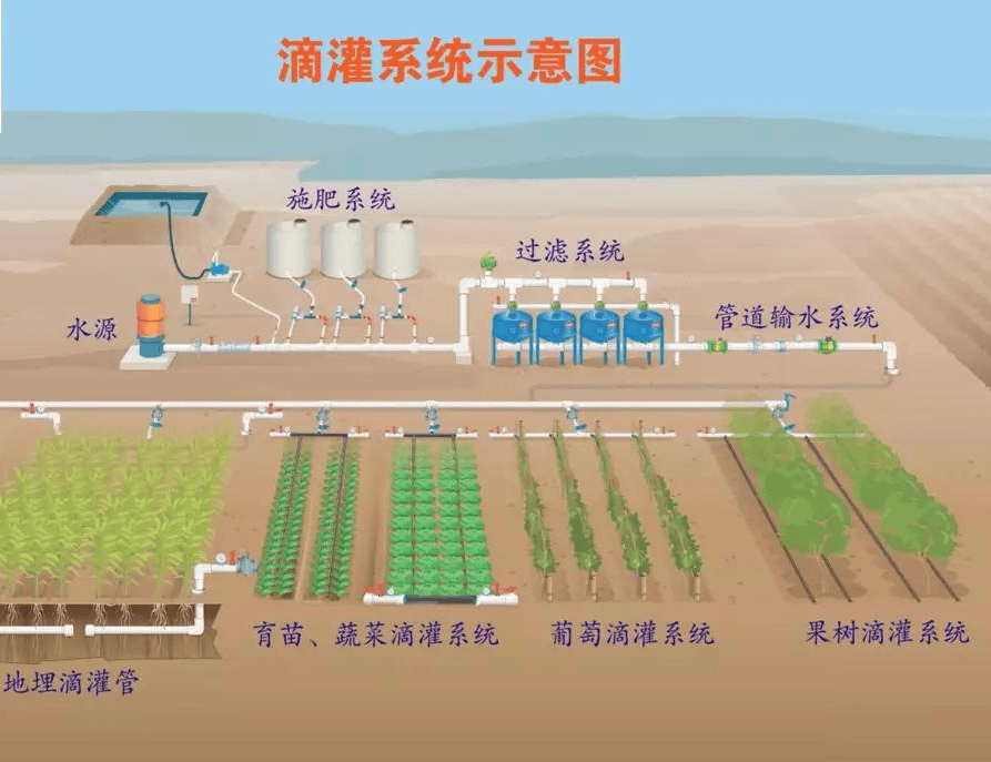 排灌站结构示意图图片