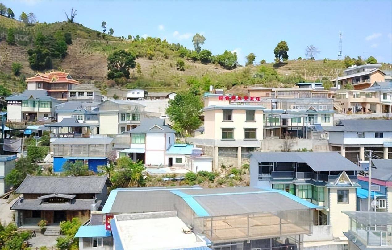 大山深处的"云南第一村"冰岛村,人口不到300人,有6万株古茶树